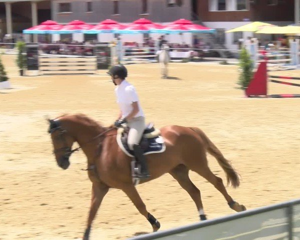 Reitturnier Rankweil 2025