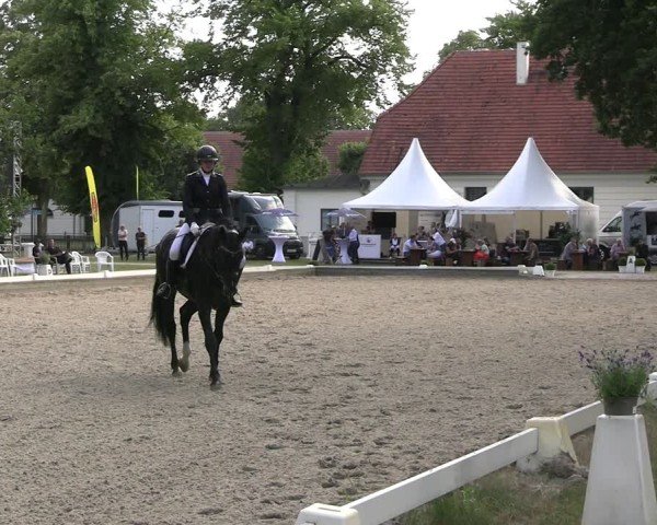 Reitturnier Redefin 2025