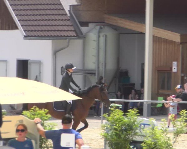 Reitturnier Rankweil 2025