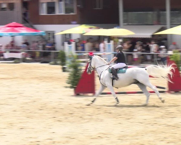 Reitturnier Rankweil 2025
