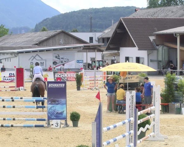 Reitturnier Rankweil 2025