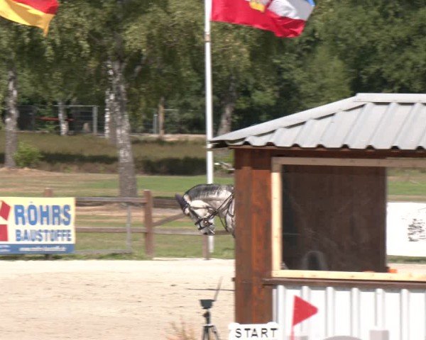 Reitturnier Westergellersen 2025