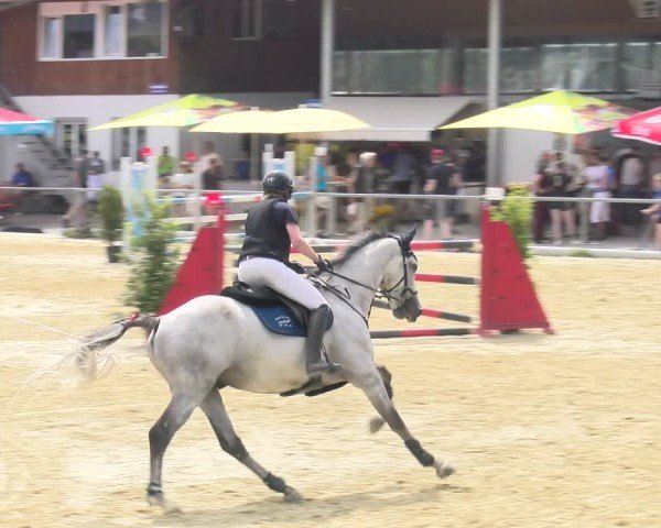 Reitturnier Rankweil 2025