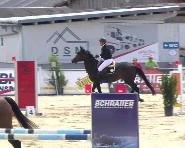 Reitturnier Rankweil 2025