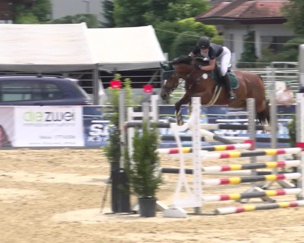 Reitturnier Rankweil 2025