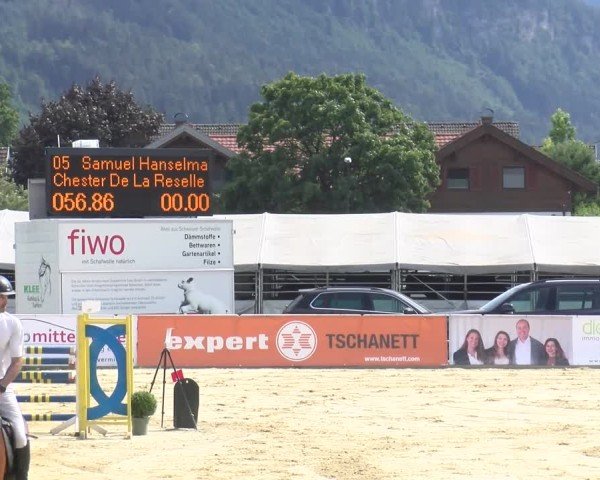 Reitturnier Rankweil 2025