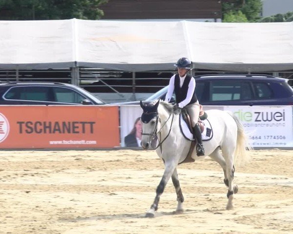 Reitturnier Rankweil 2025