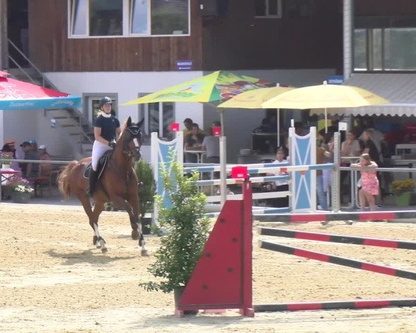 Reitturnier Rankweil 2025