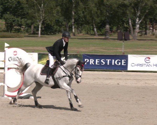Reitturnier Westergellersen 2025