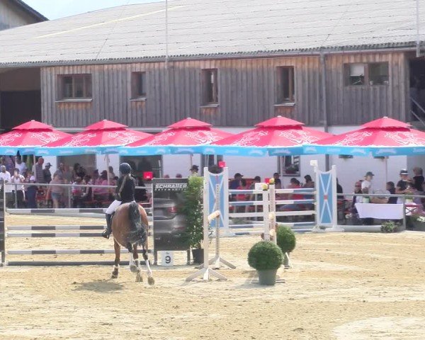 Reitturnier Rankweil 2025