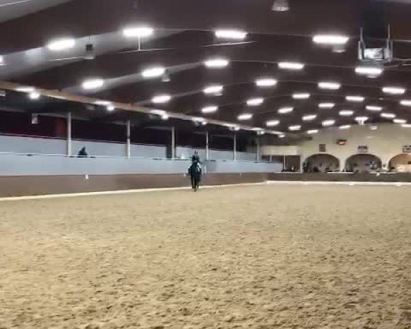 Video von RS Denver