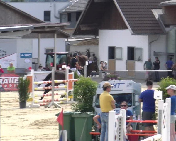 Reitturnier Rankweil 2025