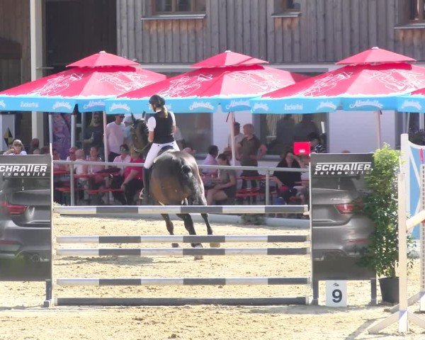 Reitturnier Rankweil 2025