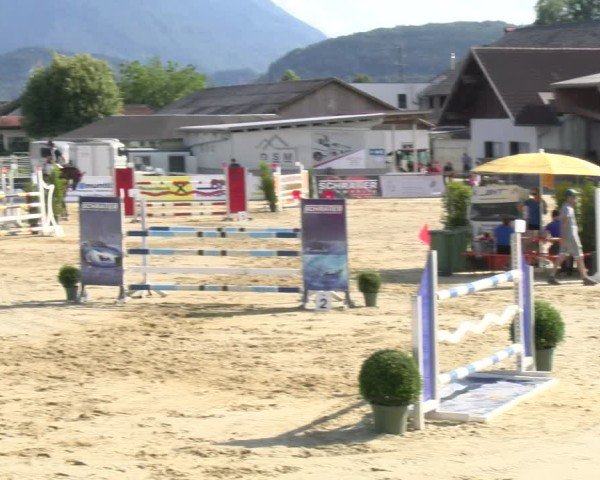 Reitturnier Rankweil 2025