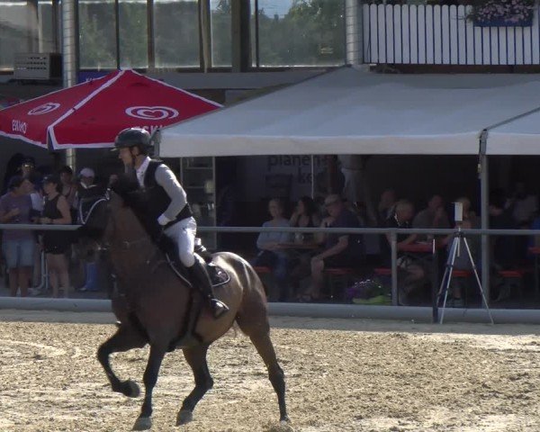 Reitturnier Rankweil 2025