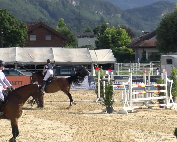 Reitturnier Rankweil 2025