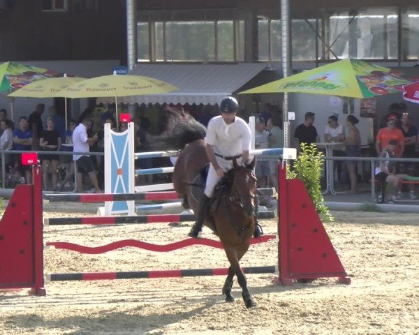 Reitturnier Rankweil 2025