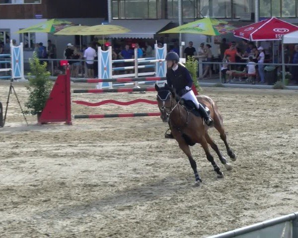 Reitturnier Rankweil 2025