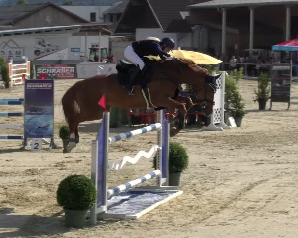 Reitturnier Rankweil 2025