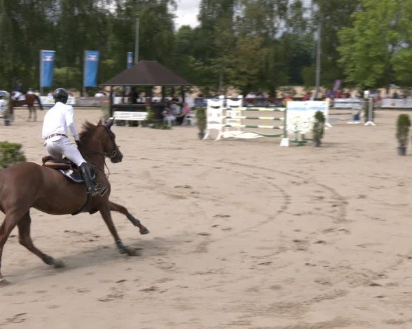 Reitturnier Münster-Roxel 2025