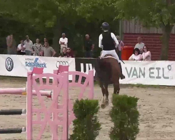 Reitturnier Münster-Roxel 2025