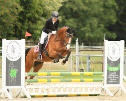 dressage horse Lady Lyanna (Westphalian, 2008, from Lord Pezi)