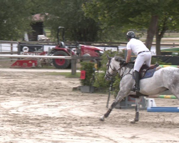 Reitturnier Münster-Roxel 2025