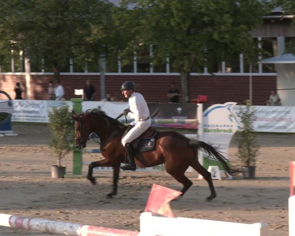 Reitturnier Münster-Roxel 2025