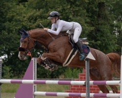 jumper Briatore 7 (Württemberger, 2013, from Balou du Rouet)