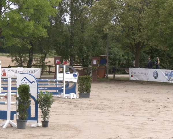 Reitturnier Münster-Roxel 2025