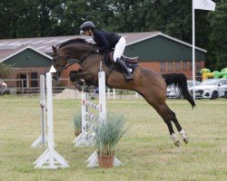 jumper Titus Talou (Holsteiner, 2015, from Taloubet Z)