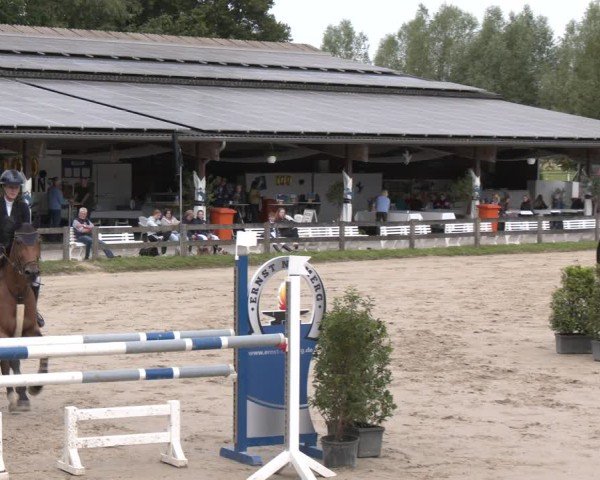 Reitturnier Münster-Roxel 2025