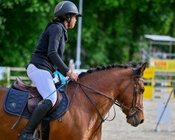 jumper Felice (Freiberger, 2018, from Unbekannt FM)