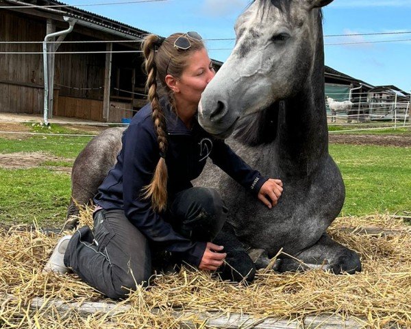 dressage horse Equineworkout Maquis (Oldenburg show jumper, 2018, from Chacco's Son II)