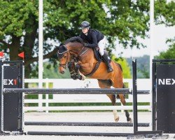 jumper Cliff (German Sport Horse, 2017, from Cellestial)