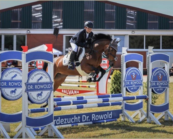 dressage horse Europa 46 (Westphalian, 2018, from Ehrenpreis)