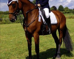 jumper Lordina 14 (Oldenburg, 2015, from Lord Pezi Junior)