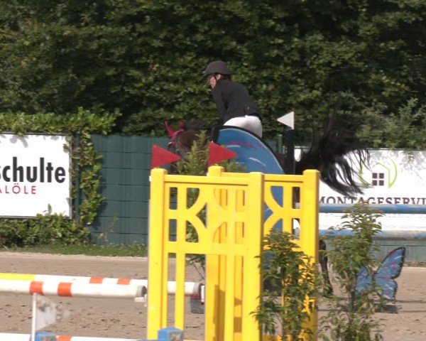 Reitturnier Lindlar-Süttenbach 2025