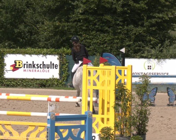 Reitturnier Lindlar-Süttenbach 2025