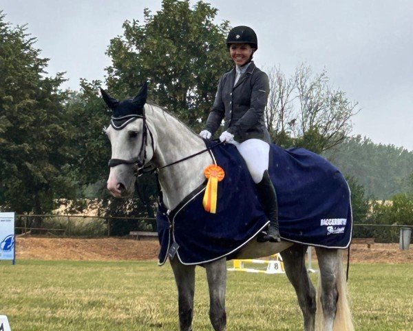 horse U-Sunshine D (Rhinelander, 2020, from Untouchable)