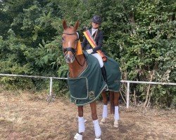 dressage horse Antonio (Westphalian, 2020, from Arcachon)