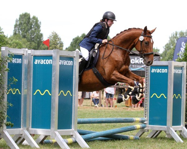horse Fantastic Toffy (Hanoverian, 2018, from Floris Prince)