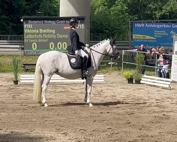 Video of Lettenhofs Nobility Dance