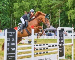 jumper Santana 1046 (Hanoverian, 2017, from Stolzenberg)
