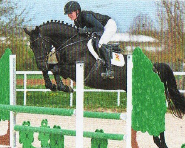horse Arocan (German noble blood horse, 2020, from Amadei)