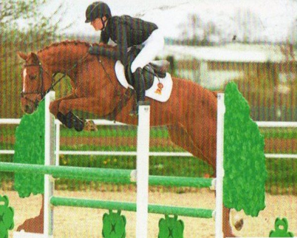 dressage horse Colorette (German Sport Horse, 2019, from Colorit)