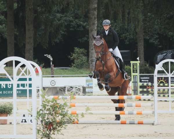 Springpferd Dies AS (Westfale, 2014, von Diar Noir)
