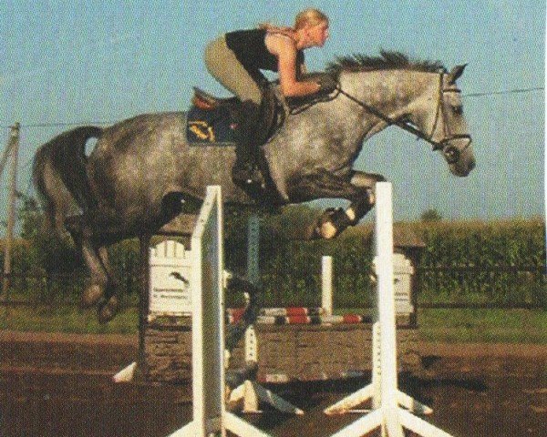 horse Londa (Latvian Warmblood, 2003, from Lear H)