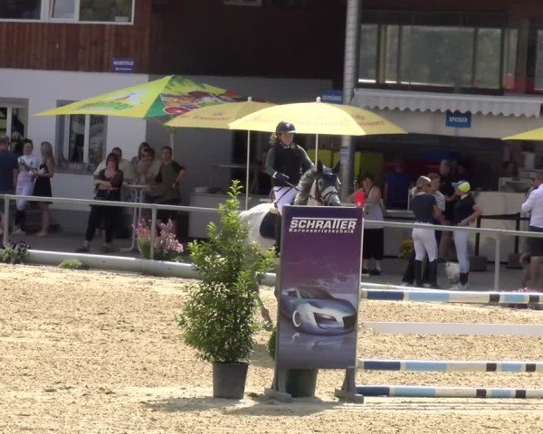 Reitturnier Rankweil 2025