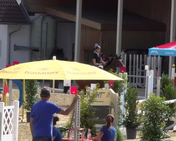 Reitturnier Rankweil 2025
